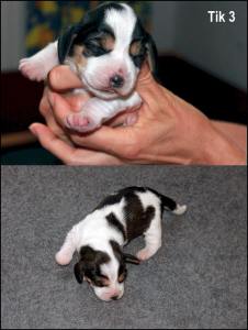 38444436_10156868019401435_4250777958039420928_n